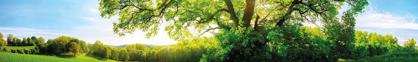 Sustainable Tridonic
