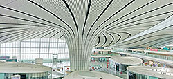 Beijing Daxing International Airport